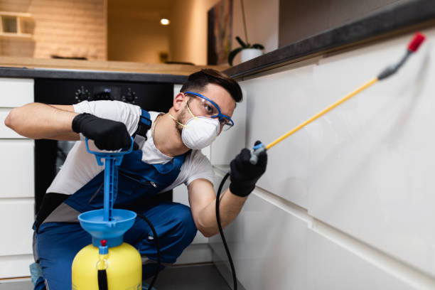 Best Emergency Pest Control  in Earlimart, CA