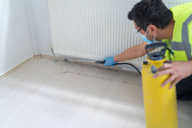 Best Cockroach Control Services  in Earlimart, CA